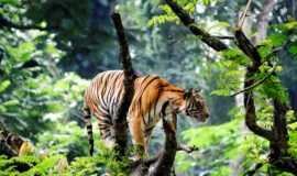 place to visit in Kerala